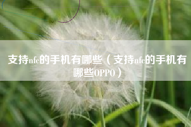 支持nfc的手机有哪些（支持nfc的手机有哪些OPPO）