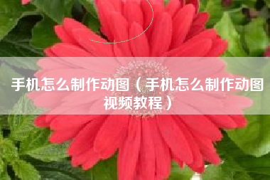 手机怎么制作动图（手机怎么制作动图视频教程）