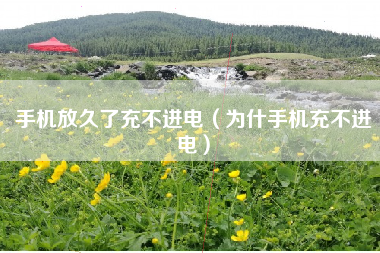 手机放久了充不进电（为什手机充不进电）