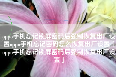 oppo手机忘记锁屏密码后强制恢复出厂设置oppo手机忘记密码怎么恢复出厂设置「oppo手机忘记锁屏密码后强制恢复出厂设置」 oppo手机忘记锁屏密码后强制恢复出厂设置oppo手机忘记密码怎么恢复出厂设置「oppo手机忘记锁屏密码后强制恢复出厂设置」