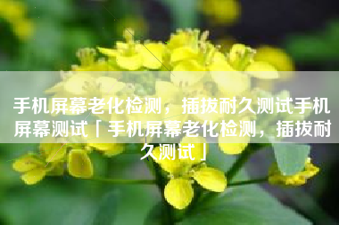 手机屏幕老化检测，插拔耐久测试手机屏幕测试「手机屏幕老化检测，插拔耐久测试」